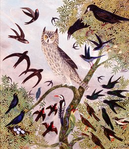  作： Anna Pugh