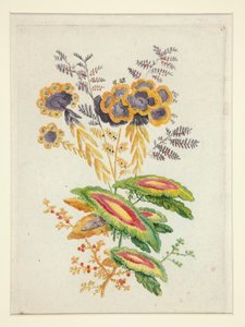 デザイナーやペインターが使用する理想的な花のノートの新しいスイートからの幻想的な花 作： Anne Allen
