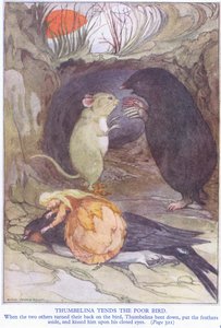 おやゆび姫はかわいそうな鳥を扱います 作： Anne Anderson