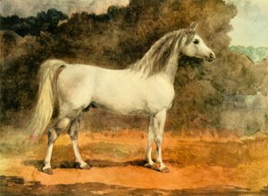 「有名なアラビアン スタリオン」、1870 年代、1944 年。 作： Anne Blunt