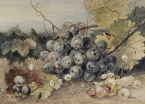 ブドウとイチゴ 作： Anne Frances Byrne