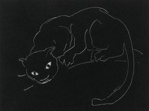 ナイトシリーズ：猫（リト、織り紙の白い線） 作： Anne Goldthwaite