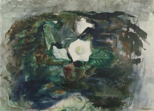 ホワイトグロキシニア 作： Anne Redpath