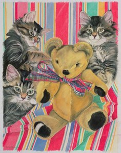子猫とテディ 作： Anne Robinson