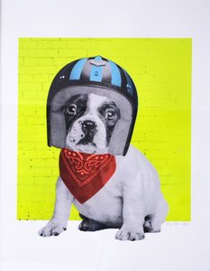 イージーライダー、2016年 作： Anne Storno