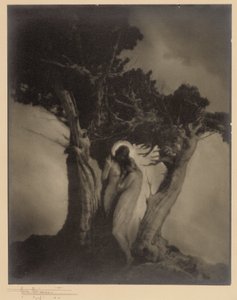嵐の心臓 作： Anne W. Brigman