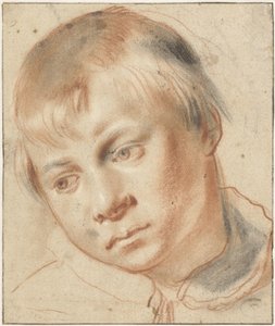 少年の頭の研究 男の子の頭の研究 作： Annibale Carracci (attributed to)