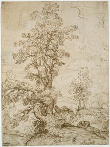 木の下で眠る男のいる風景（レクト）；騎手のいる風景（裏面） 作： Annibale Carracci