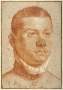 若い男性の肖像画（赤チョークで描かれた頭部 作： Annibale Carracci