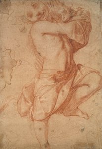 半裸の少年、16世紀後半 作： Annibale Carracci