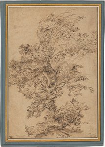 Studie eines Baumes 作： Annibale Carracci