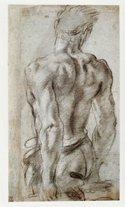 男性像の研究... 作： Annibale Carracci