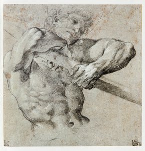 男性像の研究... 作： Annibale Carracci