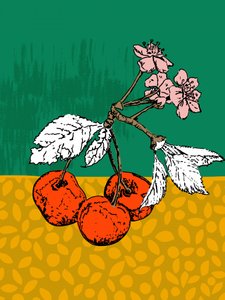 桜の枝の花