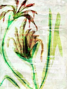 重なり合う庭の花々