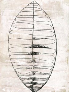 オーガニック・リーフの線画