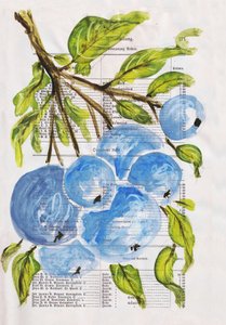 紙に描かれたブルーベリー