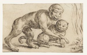 サルは火の近くで猫の足を持っています 作： Anonymous