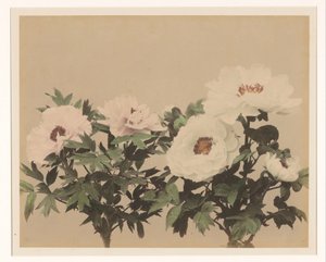 牡丹の花のある静物 作： Anonymous