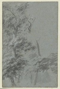 森の景色 作： Anonymous