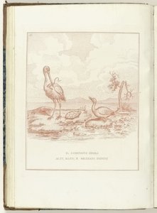 Comité van Hoge、Lage en Middelbare Heerlijkheden、1795 上、下、およびメザニドミニの委員会（オブジェクトのタイトル） Hollandia Regenerata (Italiaanse kopie) (シリーズタイトル) オランダの再生 : 再生されたすべての人々の鏡 (シリーズ t 作： Anonymous
