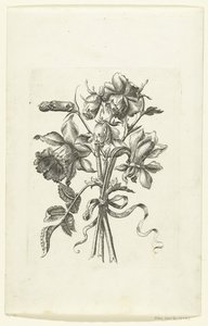水仙とカーネーションを含む 3 つの花 Novae Florum Icones (シリーズタイトル) 作： Anonymous