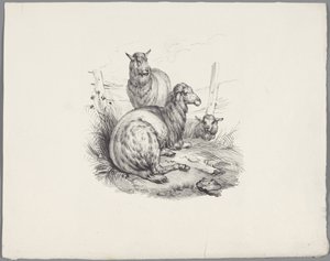 フェンスで 3 つの羊 Six Little Animal Studies (シリーズタイトル) Six Little Beast Studies (オブジェクトに関するシリーズ タイトル) 作： Anonymous