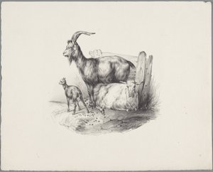 ヤギ、ヤギ、子羊 Six Little Animal Studies (シリーズタイトル) Six Little Beast Studies (オブジェクトに関するシリーズ タイトル) 作： Anonymous