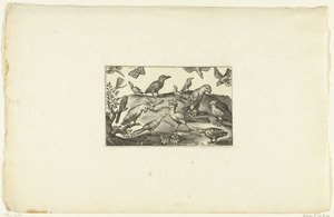 さまざまな種類の鳥がいるヤツガシラ Volatirium v​​arii Generis (...) (シリーズ名) 作： Anonymous