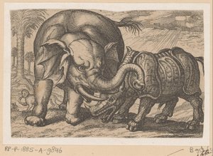 サイがゾウと戦う 戦う動物 (コピー) (シリーズのタイトル) 作： Anonymous