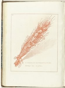 Gesel van de Provisionele 代表者 van het Volk van Holland、1795 オランダ人民代表連合 (オブジェクトのタイトル) Hollandia Regenerata (Italiaanse kopie) (シリーズタイトル) オランダの再生 : すべての人々の鏡 作： Anonymous