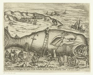 1598 年、バークヘイ近郊の座礁したウォルビス Warhafttigh And Wonderful Monster または Pottfisch クジラの形をしたもので、1598 年 2 月 4 日の関連 ercleret で、メーアがワイターとして Catwyck と Schevelingen の間で沈没したものです (tit 作： Anonymous