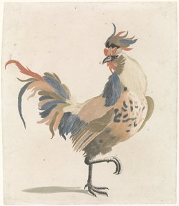 右に歩くオンドリ (バージョン A)