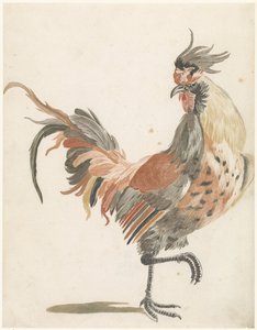 右に歩くオンドリ (バージョン B)