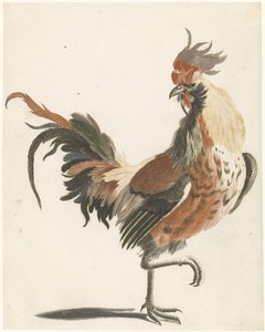 右に歩くオンドリ (バージョン A)