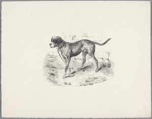 鎖につながれた犬 Six Little Animal Studies (シリーズタイトル) Six Little Beast Studies (オブジェクトに関するシリーズ タイトル) 作： Anonymous