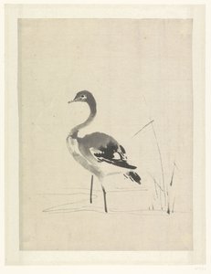 ツルの幼鳥 作： Anonymous