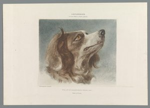 犬の頭 作： Anonymous