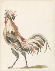 左に鳴くオンドリ