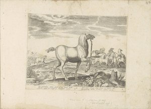 クッデ・ワイルド・パーデン 子供の競馬（オブジェクトのタイトル） Paardenrassen uit de Koninklijke Stalen van Don Juan van Oostenrijk (シリーズ タイトル) あらゆる種類の貴族が乗っている馬: 馬の行動によって区別される世界のさまざまな地域から選ばれた (...) 作： Anonymous