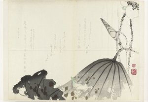 蓮の葉 アルバム 四条摺物 1840年～1900年（連載タイトル） 作： Anonymous
