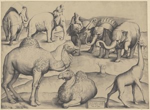オリファンテス、ヒトコブラクダ、キリン ローマの最古の絵画から取られた動物の表 3 (オブジェクトのタイトル) ローマの壮麗な鏡 (シリーズ名) 作： Anonymous