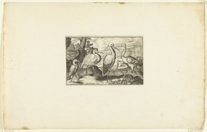 他の 2 羽の鳥の間のコウノトリ Volatirium v​​arii Generis (...) (シリーズ名) 作： Anonymous