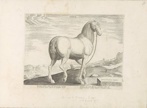コルシカ島の馬 ハート (オブジェクトのタイトル) Paardenrassen uit de Koninklijke Stalen van Don Juan van Oostenrijk (シリーズ タイトル) ありとあらゆる貴族が乗った馬 世界各地で際立った馬の行動が選ばれました (...) (objeのシリーズタイトル 作： Anonymous
