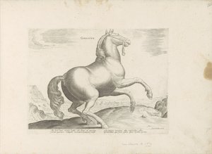 パルド ウィット フランクレイク フランス語 (オブジェクトのタイトル) Paardenrassen uit de Koninklijke Stalen van Don Juan van Oostenrijk (シリーズ タイトル) ありとあらゆる貴族が乗った馬 世界各地の選りすぐりの馬のふるまい（…）（連載タイトル 作： Anonymous