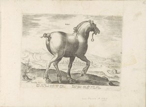 Paard uit Saksen サクソ (オブジェクトのタイトル) Paardenrassen uit de Koninklijke Stalen van Don Juan van Oostenrijk (シリーズ タイトル) あらゆる種類の貴族が乗った馬：世界のさまざまな地域で区別された馬の行動が選択された（...）（オブジェクトに関するシリーズタイトル）