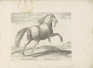 Paard uit Spanje スペイン語 (オブジェクトのタイトル) Paardenrassen uit de Koninklijke Stalen van Don Juan van Oostenrijk (シリーズ タイトル) あらゆる種類の貴族が乗っている馬：世界のさまざまな地域から区別された馬の行動が選択されました（...）（objのシリーズタイトル