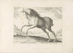Paard van het ras Royal Horse (de Koninklijke) ロイヤル ホース (オブジェクトのタイトル) Paardenrassen uit de Koninklijke Stalen van Don Juan van Oostenrijk (シリーズ タイトル) あらゆる種類の貴族が乗る馬：世界各地の馬のマナーで区別される