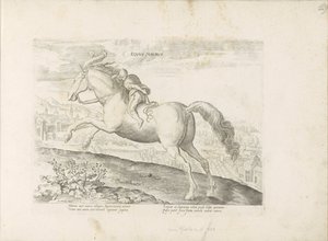 レンパールドはロイターに会った ムーアの馬 (オブジェクトのタイトル) Paardenrassen uit de Koninklijke Stalen van Don Juan van Oostenrijk (シリーズ タイトル) ありとあらゆる貴族が乗った馬 世界各地で際立った馬の行動が選ばれました(...) (連載タイトル 作： Anonymous