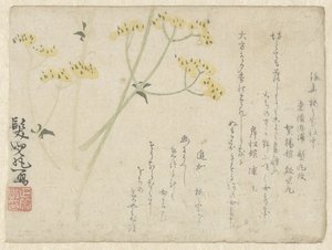 屏風の花 作： Anonymous